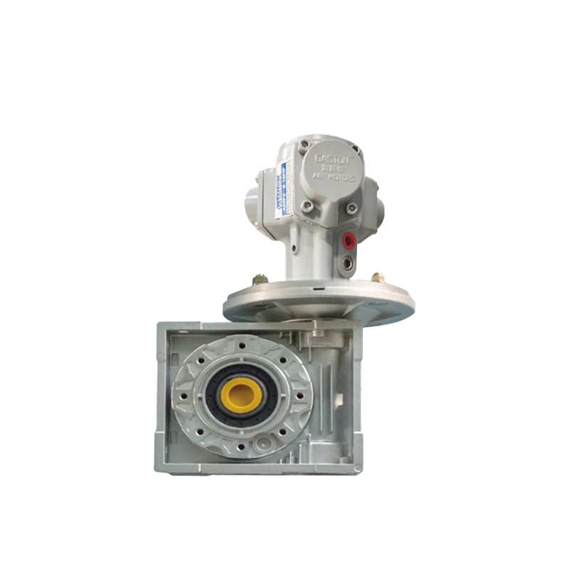 Motor udara pengurang gear Worm AMP2-RV